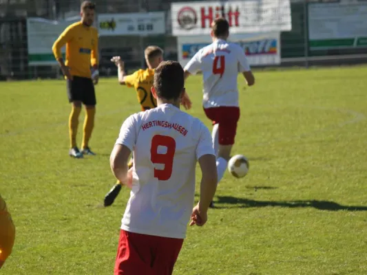 TSV Hertingshausen vs. Fortuna Kassel