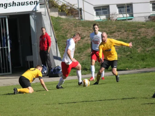 TSV Hertingshausen vs. Fortuna Kassel