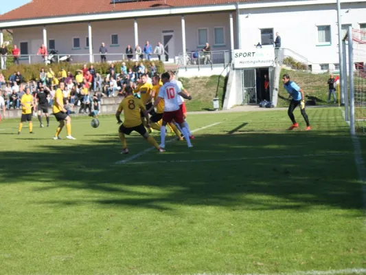 TSV Hertingshausen vs. Fortuna Kassel