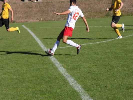 TSV Hertingshausen vs. Fortuna Kassel