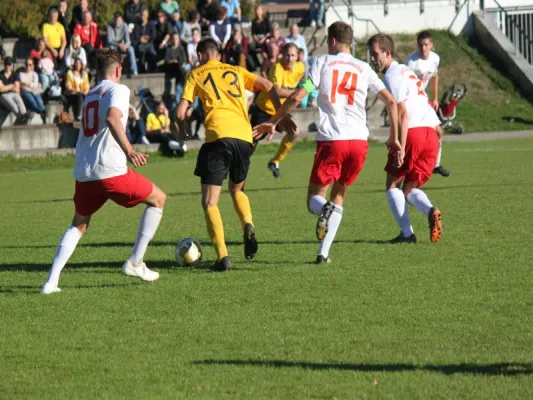 TSV Hertingshausen vs. Fortuna Kassel