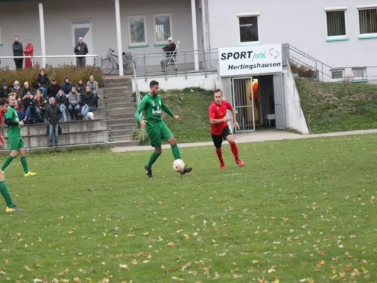 TSV Hertingshausen vs. Olympia 1914 Kassel