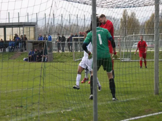 Tuspo Rengershausen vs. TSV Hertingshausen