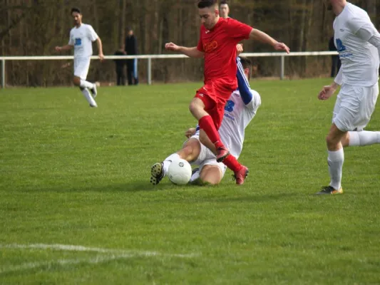 Tuspo Rengershausen vs. TSV Hertingshausen