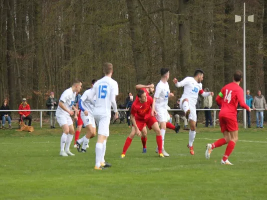 Tuspo Rengershausen vs. TSV Hertingshausen