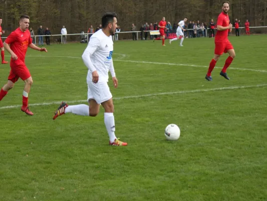 Tuspo Rengershausen vs. TSV Hertingshausen