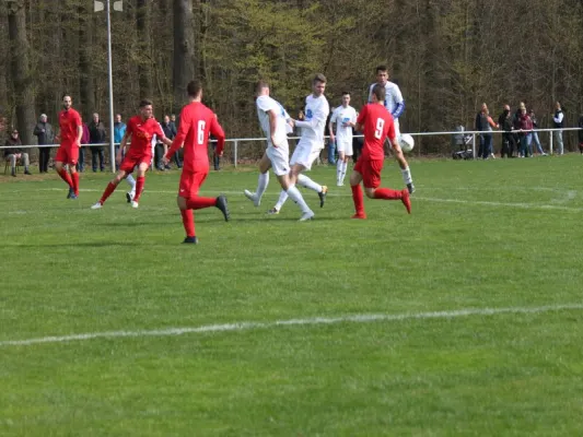 Tuspo Rengershausen vs. TSV Hertingshausen