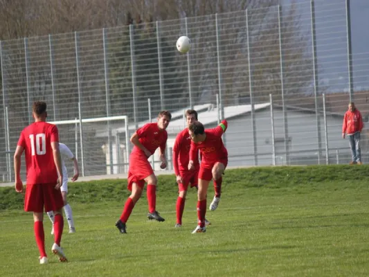 Tuspo Rengershausen vs. TSV Hertingshausen