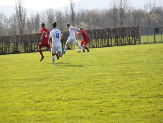 Tuspo Rengershausen vs. TSV Hertingshausen