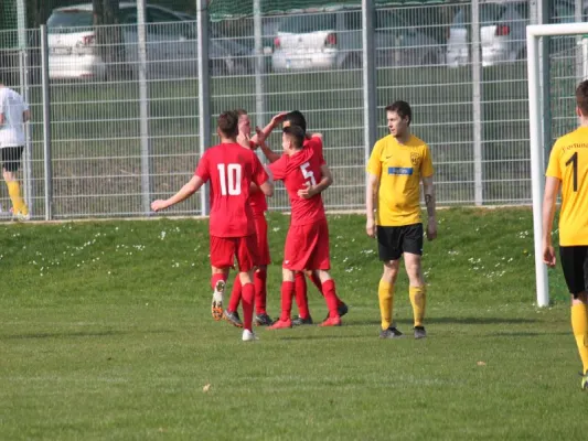 Fortuna Kassel vs. TSV Hertingshausen