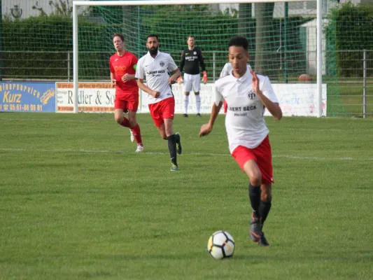 CSC 03 Kassel II vs. TSV Hertingshausen