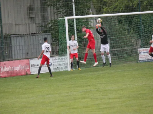 CSC 03 Kassel II vs. TSV Hertingshausen