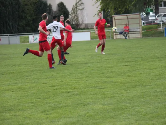 CSC 03 Kassel II vs. TSV Hertingshausen