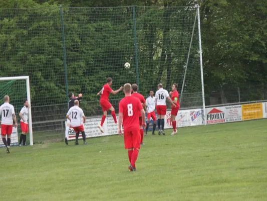 CSC 03 Kassel II vs. TSV Hertingshausen