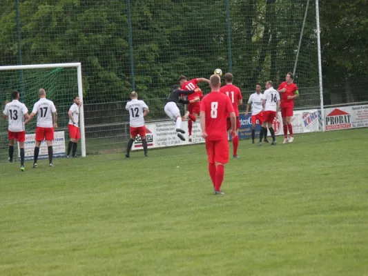 CSC 03 Kassel II vs. TSV Hertingshausen