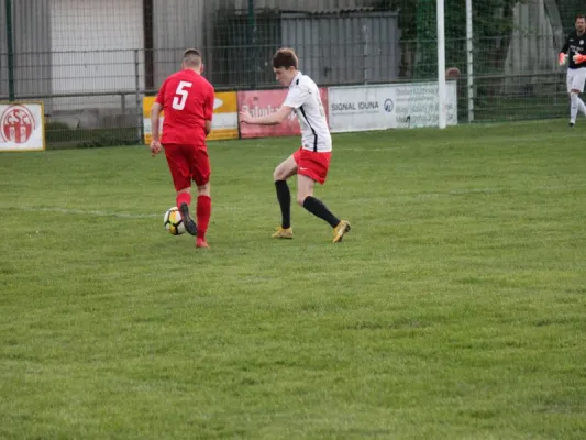 CSC 03 Kassel II vs. TSV Hertingshausen