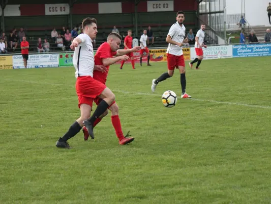 CSC 03 Kassel II vs. TSV Hertingshausen