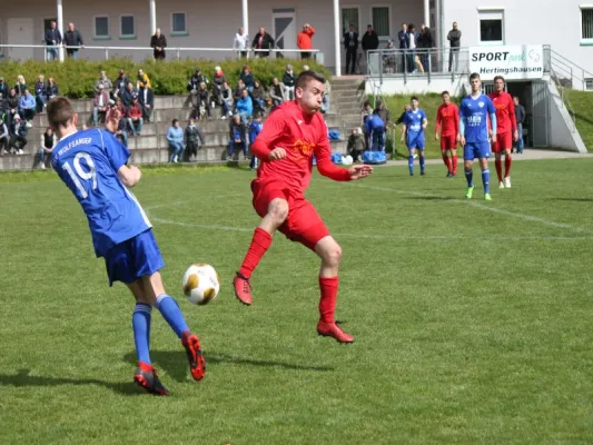 TSV Hertingshausen vs, TSV Wolfsanger