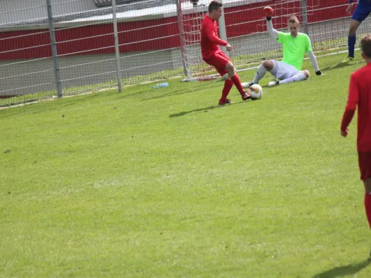 TSV Hertingshausen vs, TSV Wolfsanger