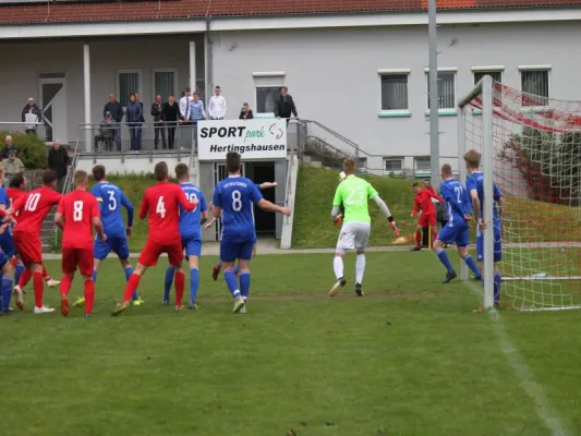 TSV Hertingshausen vs, TSV Wolfsanger