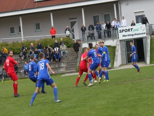 TSV Hertingshausen vs, TSV Wolfsanger