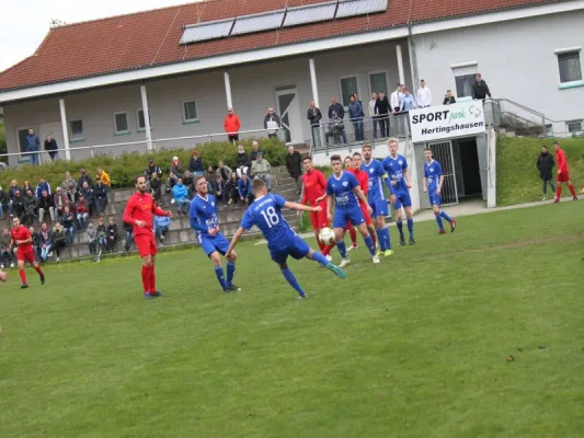 TSV Hertingshausen vs, TSV Wolfsanger