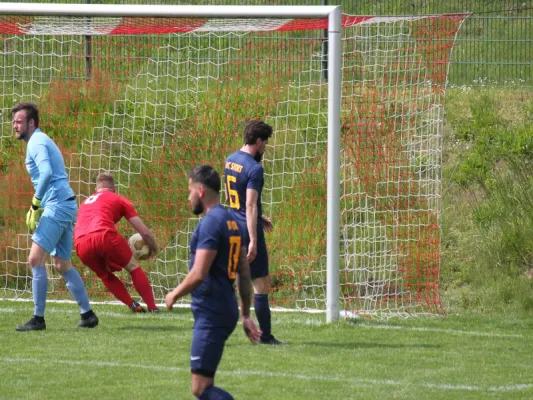 TSV Hertingshausen vs. BC Sport Kassel