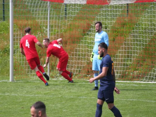 TSV Hertingshausen vs. BC Sport Kassel