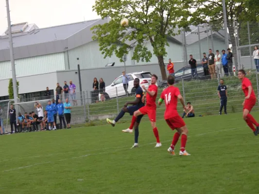 TSV Hertingshausen vs. BC Sport Kassel