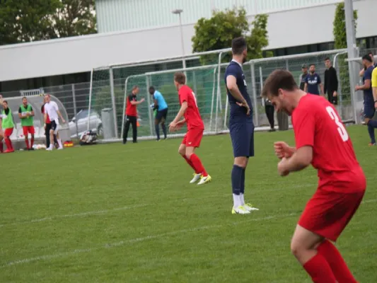 TSV Hertingshausen vs. BC Sport Kassel