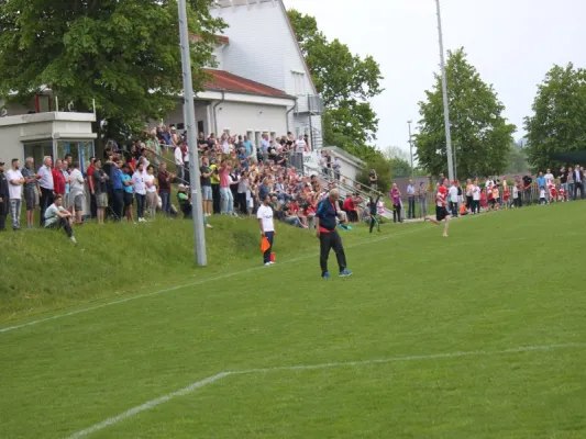 TSV Hertingshausen vs. BC Sport Kassel