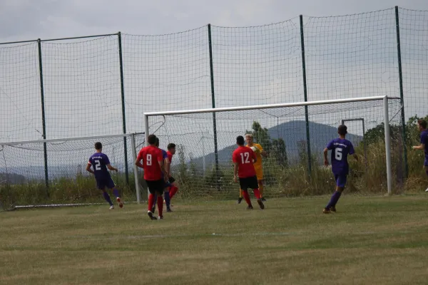 SG Schauenburg vs. TSV Hertingshausen