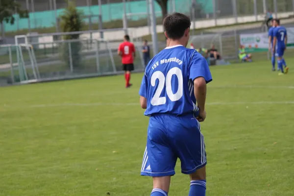 TSV Hertingshausen vs. TSV Mengsberg