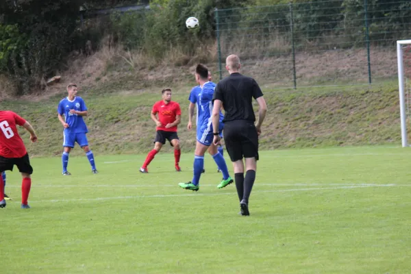 TSV Hertingshausen vs. TSV Mengsberg