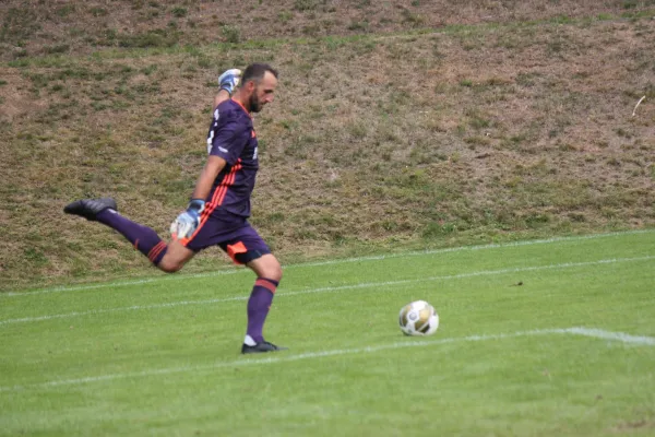 TSV Hertingshausen vs. TSV Mengsberg