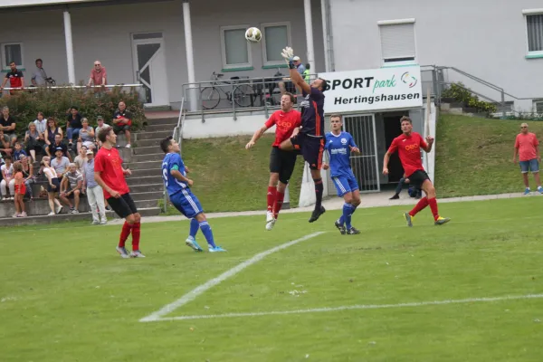 TSV Hertingshausen vs. TSV Mengsberg