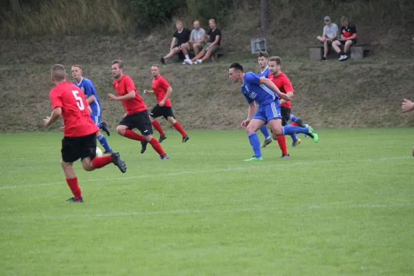 TSV Hertingshausen vs. TSV Mengsberg