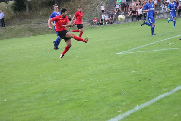 TSV Hertingshausen vs. TSV Mengsberg