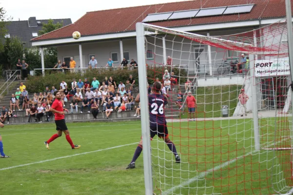 TSV Hertingshausen vs. TSV Mengsberg