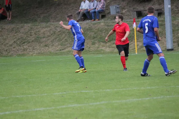 TSV Hertingshausen vs. TSV Mengsberg