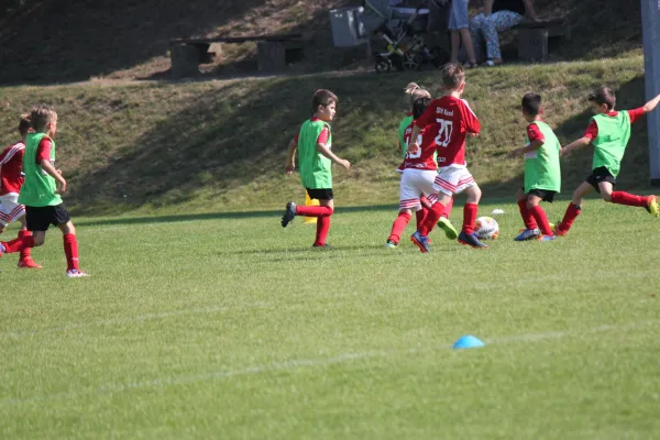 TSV Hertingshausen vs. SVH Kassel III.