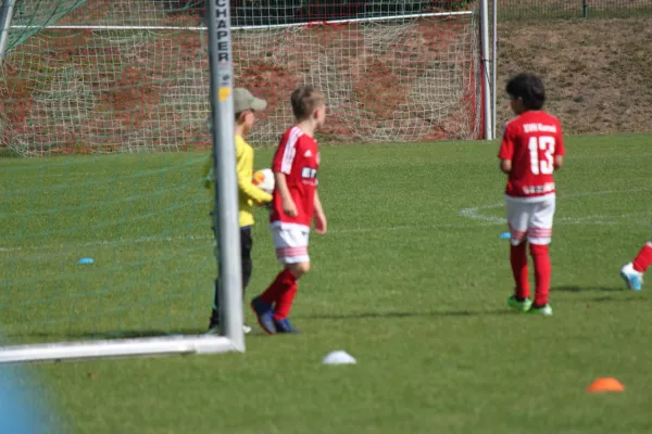 TSV Hertingshausen vs. SVH Kassel III.