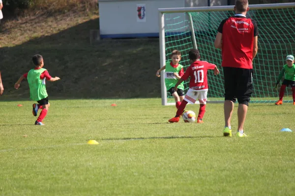 TSV Hertingshausen vs. SVH Kassel III.