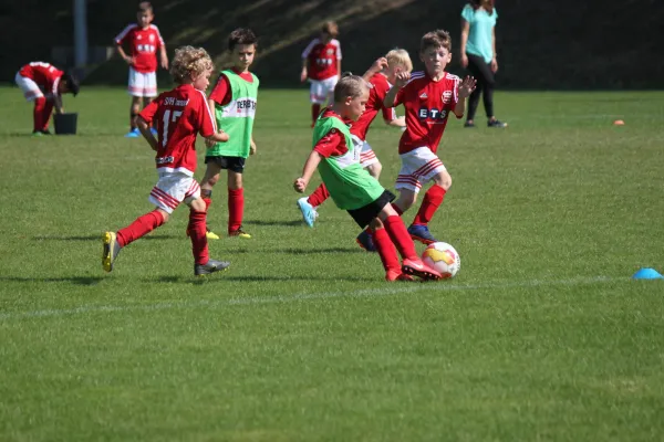 TSV Hertingshausen vs. SVH Kassel III.