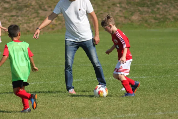 TSV Hertingshausen vs. SVH Kassel III.