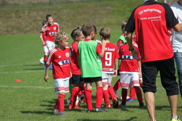 TSV Hertingshausen vs. SVH Kassel III.