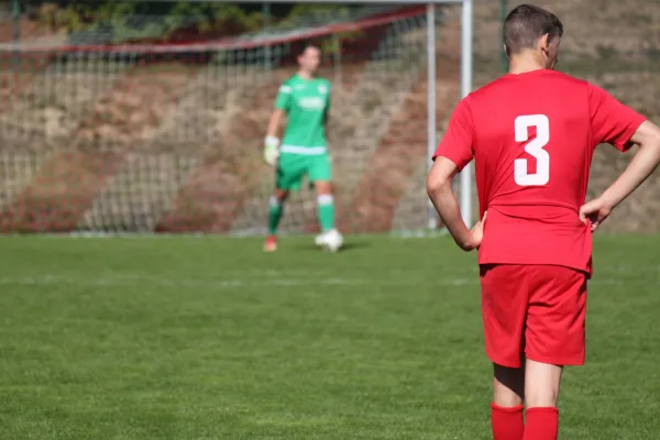 TSV Hertingshausen vs. SG Kirchberg/Lohne