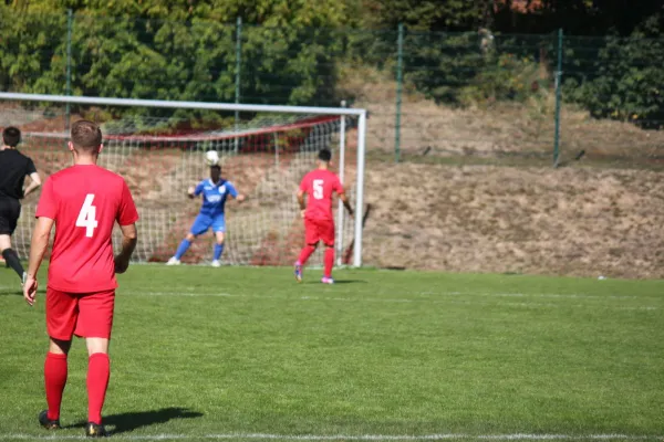 TSV Hertingshausen vs. SG Kirchberg/Lohne