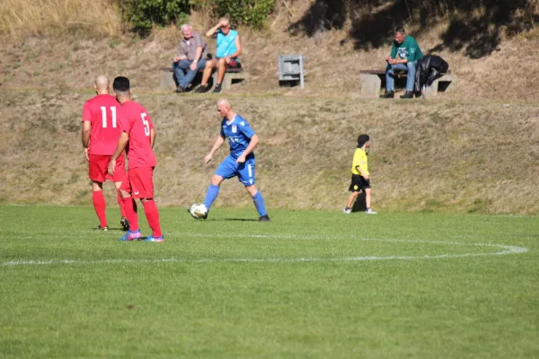 TSV Hertingshausen vs. SG Kirchberg/Lohne