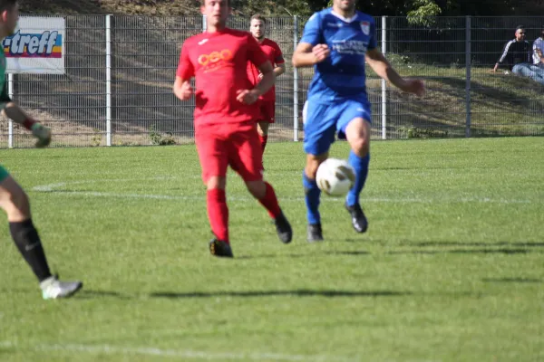 TSV Hertingshausen vs. SG Kirchberg/Lohne